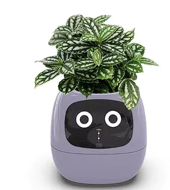 Jardinera inteligente con tecnología de inteligencia artificial