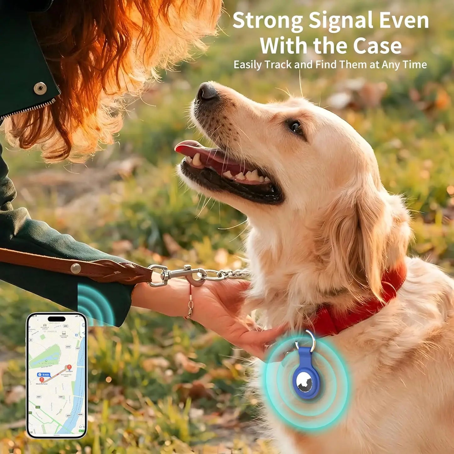 S15566cd5f5c044e3903b739f48731e5bh