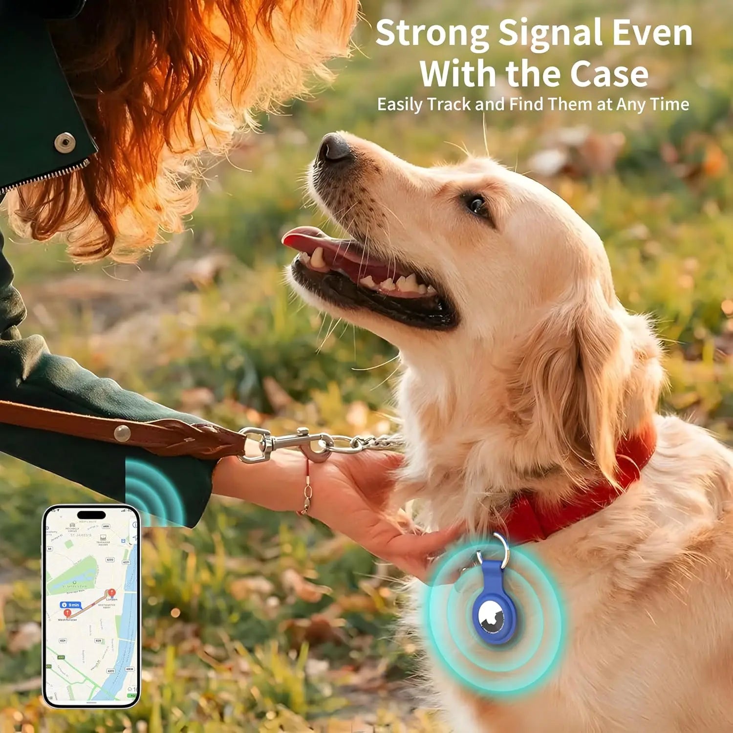 S15566cd5f5c044e3903b739f48731e5bh